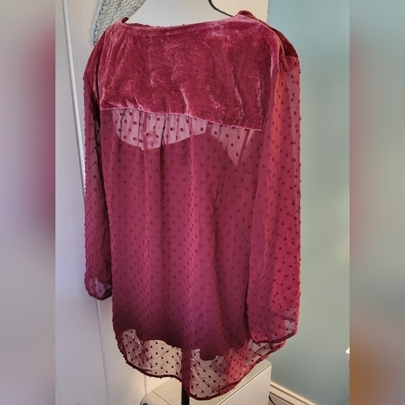 Style &Co Textured Semi Sheer Blouse with Tank Size 1X - Picture 5 of 10